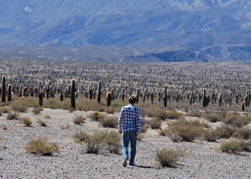 ¿Cómo pueden los impuestos ayudar a combatir el cambio climático? ¿Cómo pueden los impuestos ayudar a combatir el cambio climático?