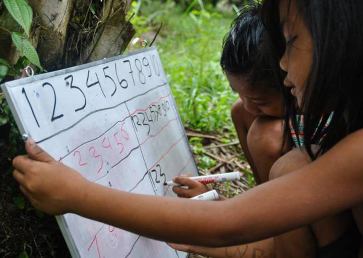 Aprender a leer subido a un árbol en la jungla de Sumatra Aprender a leer subido a un árbol en la jungla de Sumatra