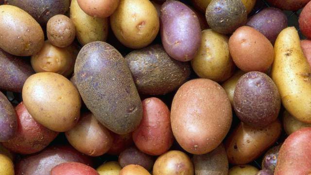 La guía definitiva de las patatas
