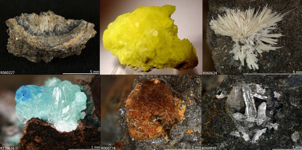 Seis minerales antropogénicos: En el sentido del reloj y empezando arriba a la izquierda, abhurita, andersonita, metamunirita, simonkolleita, nealita y fiedlerita.