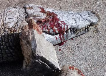 Un cocodrilo muere apedreado por un grupo de visitantes del zoo de Túnez Un cocodrilo muere apedreado por un grupo de visitantes del zoo de Túnez