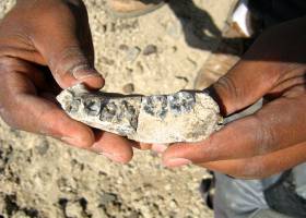 Halladas en Irán las primeras evidencias culturales del ‘Homo sapiens’ fuera de África Halladas en Irán las primeras evidencias culturales del ‘Homo sapiens’ fuera de África