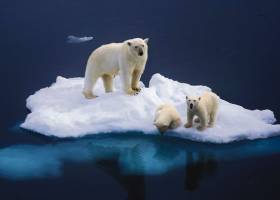 Agua del Ártico, a 94 euros la botella