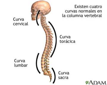 Portear sí, pero no de cualquier manera
