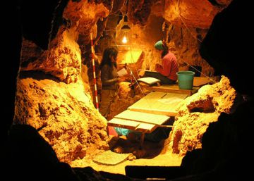 Los neandertales tenían sus propias ‘aspirinas’ Los neandertales tenían sus propias ‘aspirinas’