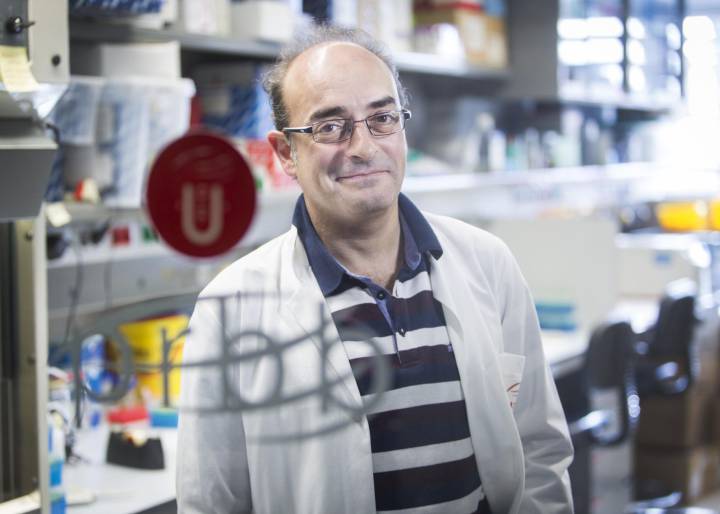 “Nuestro sexo con otras especies era recurrente” “Nuestro sexo con otras especies era recurrente”