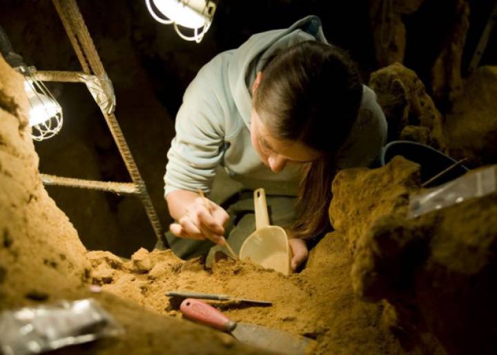 Los neandertales se medicaban Los neandertales se medicaban