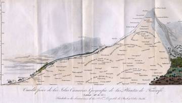 Geografía de las plantas de Tenerife. Von Humboldt anotaba las plantas que crecían a cada altitud según se ascendía al Teide