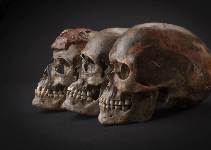 Cuando todos los europeos eran negros Cuando todos los europeos eran negros