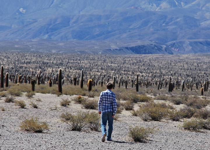 ¿Cómo pueden los impuestos ayudar a combatir el cambio climático? ¿Cómo pueden los impuestos ayudar a combatir el cambio climático?