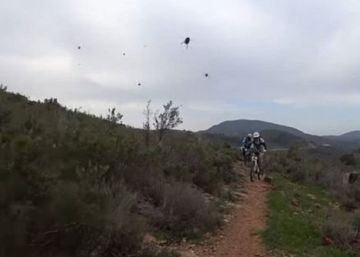 El ataque de un enjambre de abejas a unos ciclistas El ataque de un enjambre de abejas a unos ciclistas
