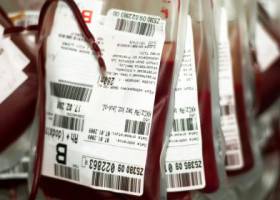 Identificado un gen relacionado con el envejecimiento del cerebro