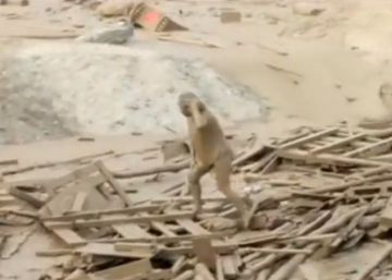 Así sobrevivió una mujer a una avalancha de lodo en las inundaciones de Perú Así sobrevivió una mujer a una avalancha de lodo en las inundaciones de Perú