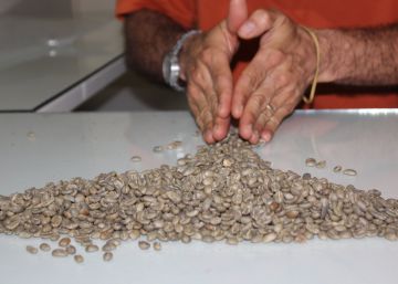 Un guardián en el molino