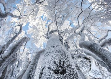 Equinoccio de primavera, nos despedimos del invierno