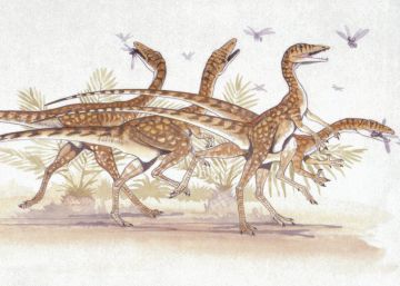 Así era el ‘abuelo’ de los dinosaurios Así era el ‘abuelo’ de los dinosaurios