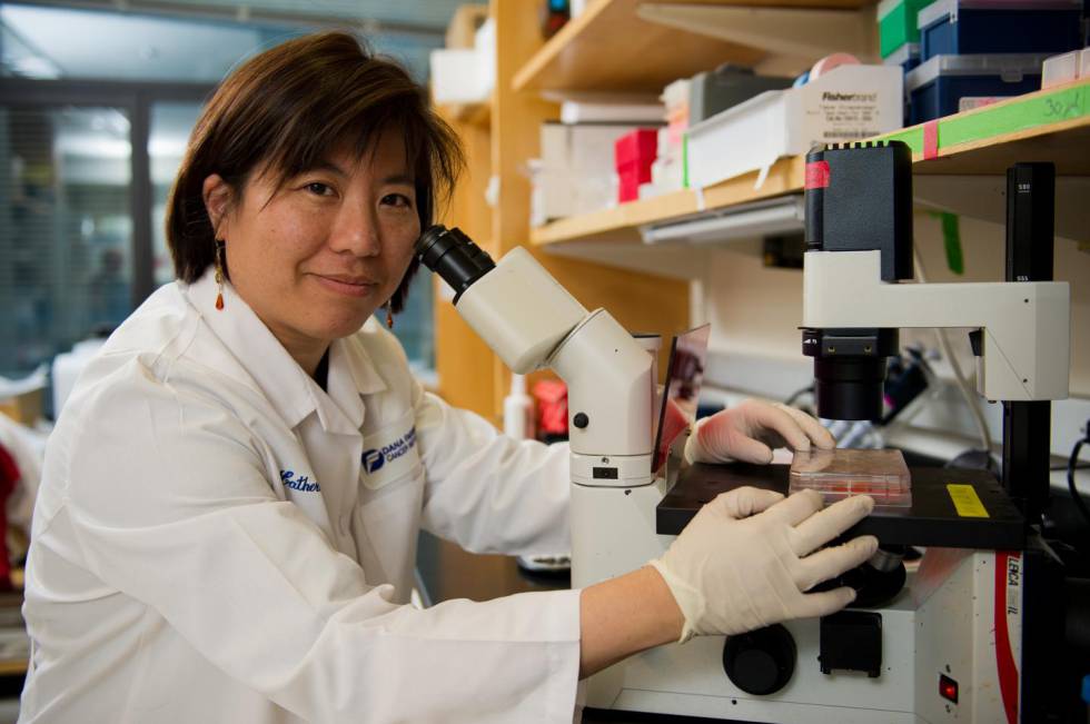 Katherine Wu, investigadora del Instituto de Cáncer Dana-Farber, en Boston (EE UU).