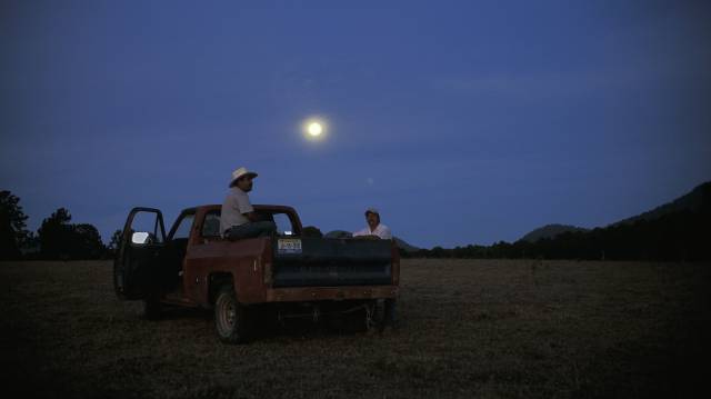 Sobre las brasas de la tierra