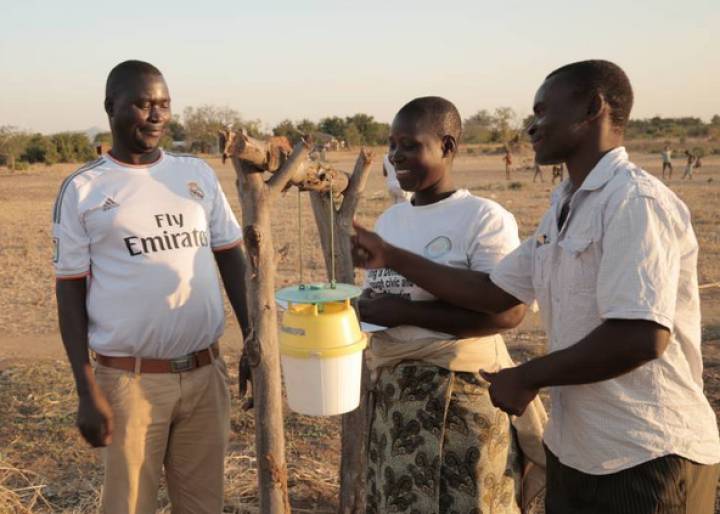 Agricultores contra la enésima plaga de Malawi Agricultores contra la enésima plaga de Malawi