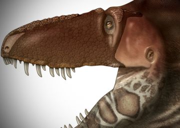 La cara más sensible del tiranosaurio La cara más sensible del tiranosaurio