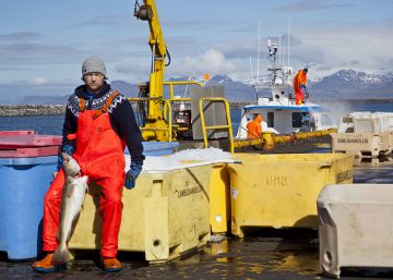 ¿Dónde se obtiene el pescado más sostenible? ¿Dónde se obtiene el pescado más sostenible?