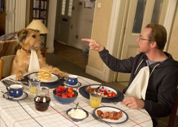 Cinco cosas que crees que le gustan a tu perro, pero no