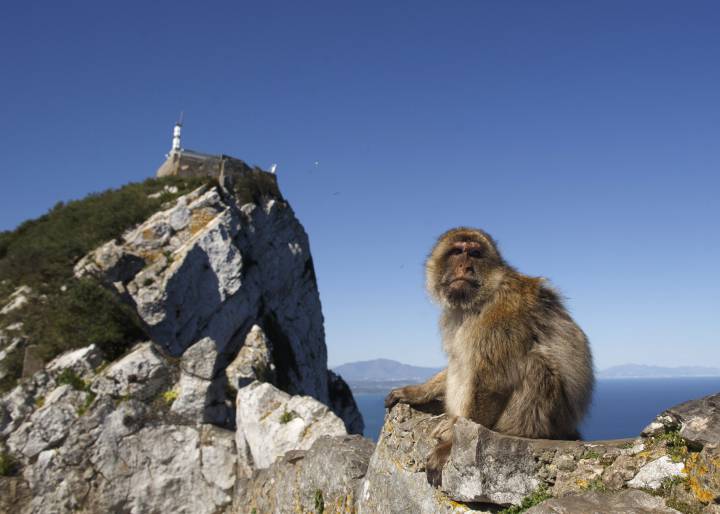 No EU-UK deal will apply to Gibraltar without agreement from Spain No EU-UK deal will apply to Gibraltar without agreement from Spain