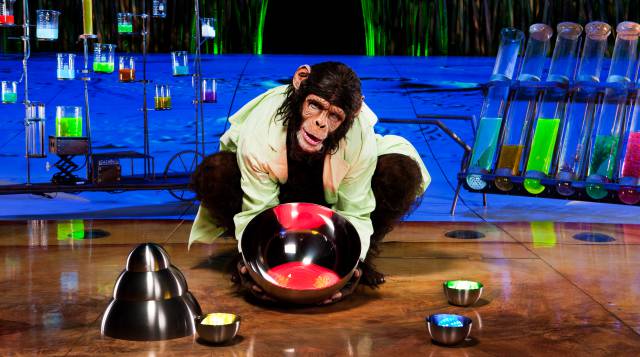 La evolución según Cirque du Soleil