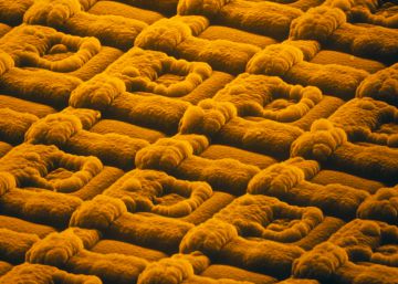 La carrera por hacer el chip más pequeño del mundo