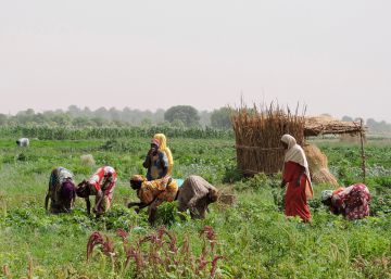 El desierto y el hambre avanzan de la mano en el Sahel