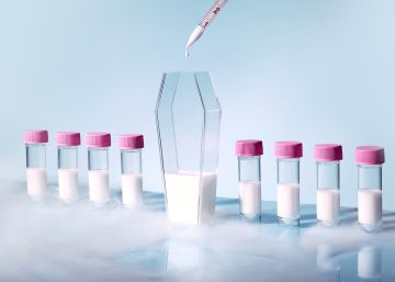 El semen de los muertos que puede crear vida El semen de los muertos que puede crear vida