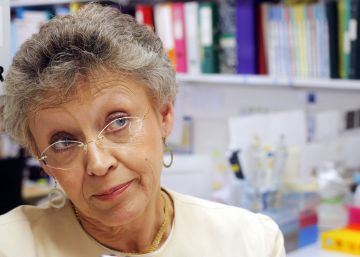 “A Rajoy le diría que será responsable de muertes si no dona al Fondo Mundial contra el Sida” “A Rajoy le diría que será responsable de muertes si no dona al Fondo Mundial contra el Sida”