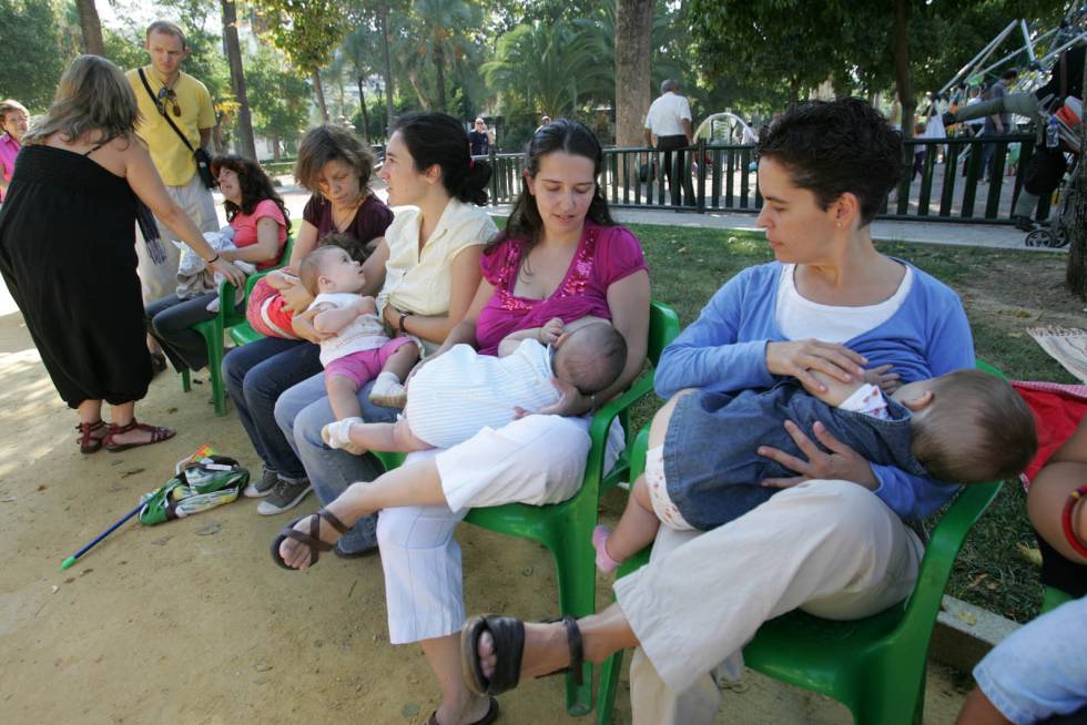 Verdades Y Mentiras Sobre La Lactancia Materna Mams Y Paps EL PAS