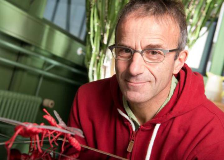 “Las hormigas sobrevivieron a los dinosaurios y también sobrevivirán al hombre” “Las hormigas sobrevivieron a los dinosaurios y también sobrevivirán al hombre”