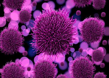 Los virus plantean un problema a los biólogos porque no tienen células, por lo que no forman parte de ninguno de los tres grupos principales de seres vivos.