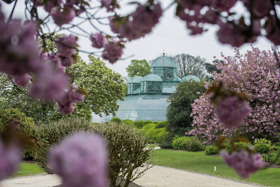 Vista de los invernaderos de Laeken.