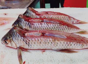 LISTOS PARA LA VENTA EN WAN CHAI MARKET RAMOS