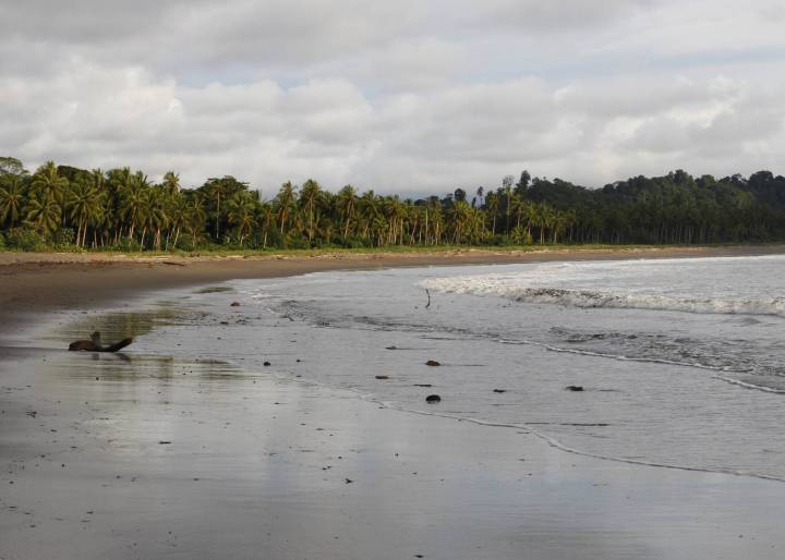 Cocaína que trae el mar Cocaína que trae el mar