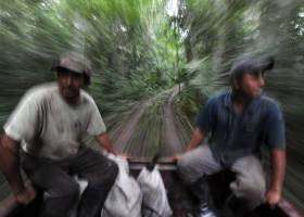 Chicle maya para apuntalar la selva