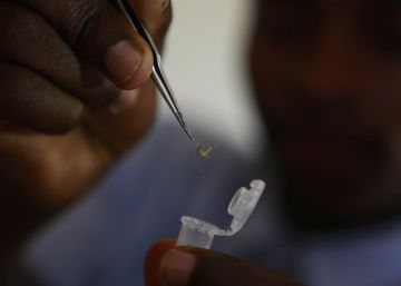Terminar con la malaria Terminar con la malaria