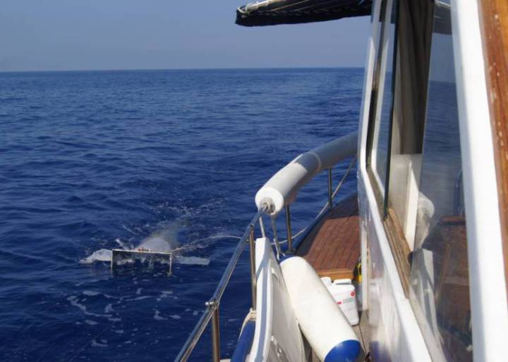 El plástico se adueña del Mediterráneo El plástico se adueña del Mediterráneo