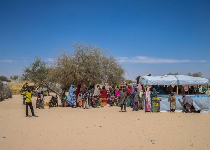 El ciclo infernal de la desnutrición El ciclo infernal de la desnutrición