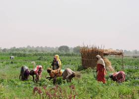 No hay dinero para luchar contra el hambre