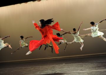 La bailarina que antes fue bailarín