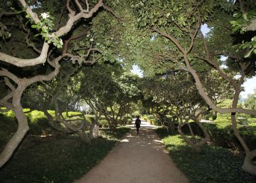 Els jardins de Marivent s’obriran al públic a partir del 2 de maig Els jardins de Marivent s’obriran al públic a partir del 2 de maig