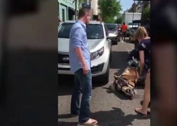 Un caballo desfallece mientras tira de un carro de turistas