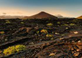 La erupción del volcán submarino de El Hierro ‘creó’ una nueva bacteria