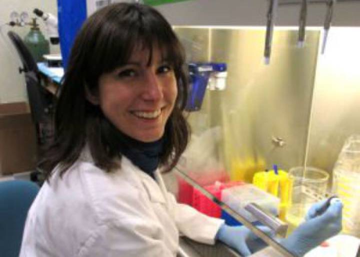 Células madre para reparar lesiones cerebrales Células madre para reparar lesiones cerebrales