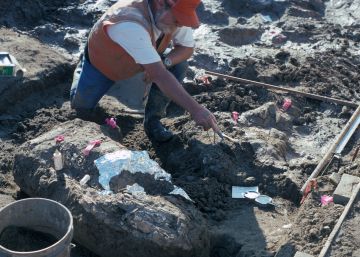 Un estudio sugiere que los neandertales fueron los primeros en colonizar América Un estudio sugiere que los neandertales fueron los primeros en colonizar América