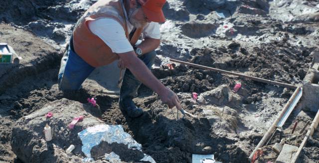 Un estudio sugiere que los neandertales fueron los primeros en colonizar América